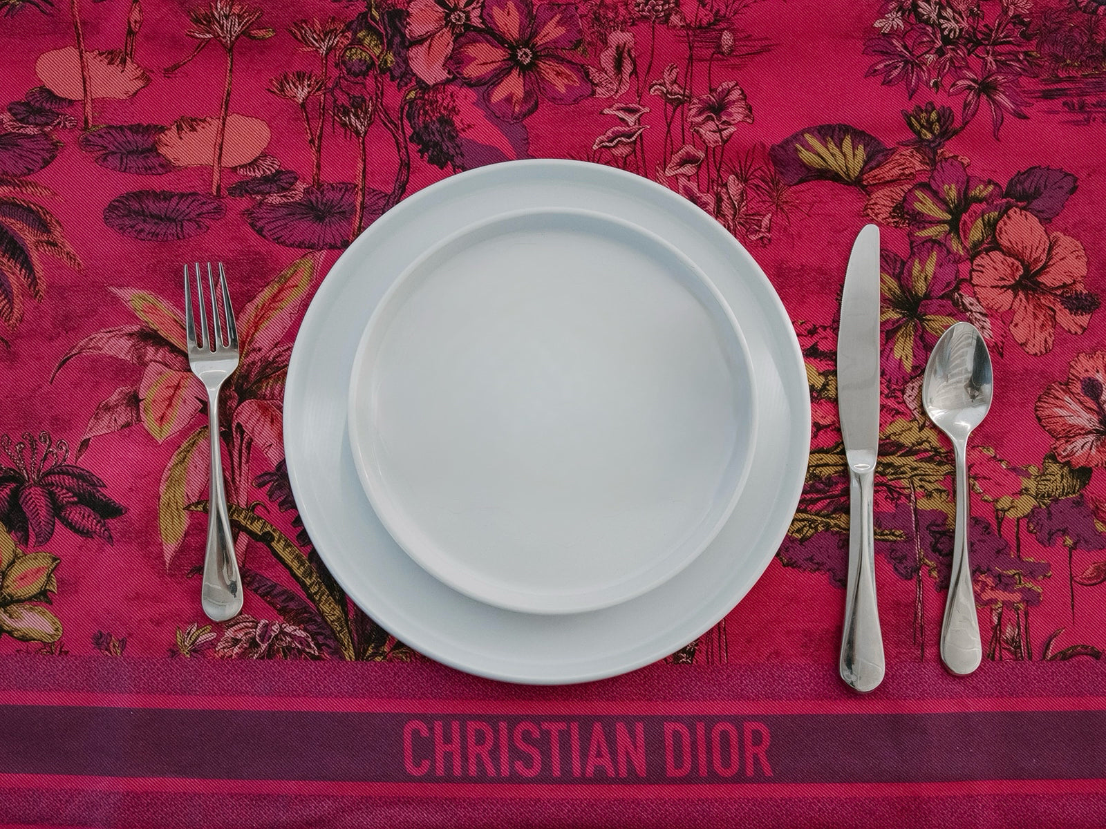 Christian Dior Pink Printed Beach Throw