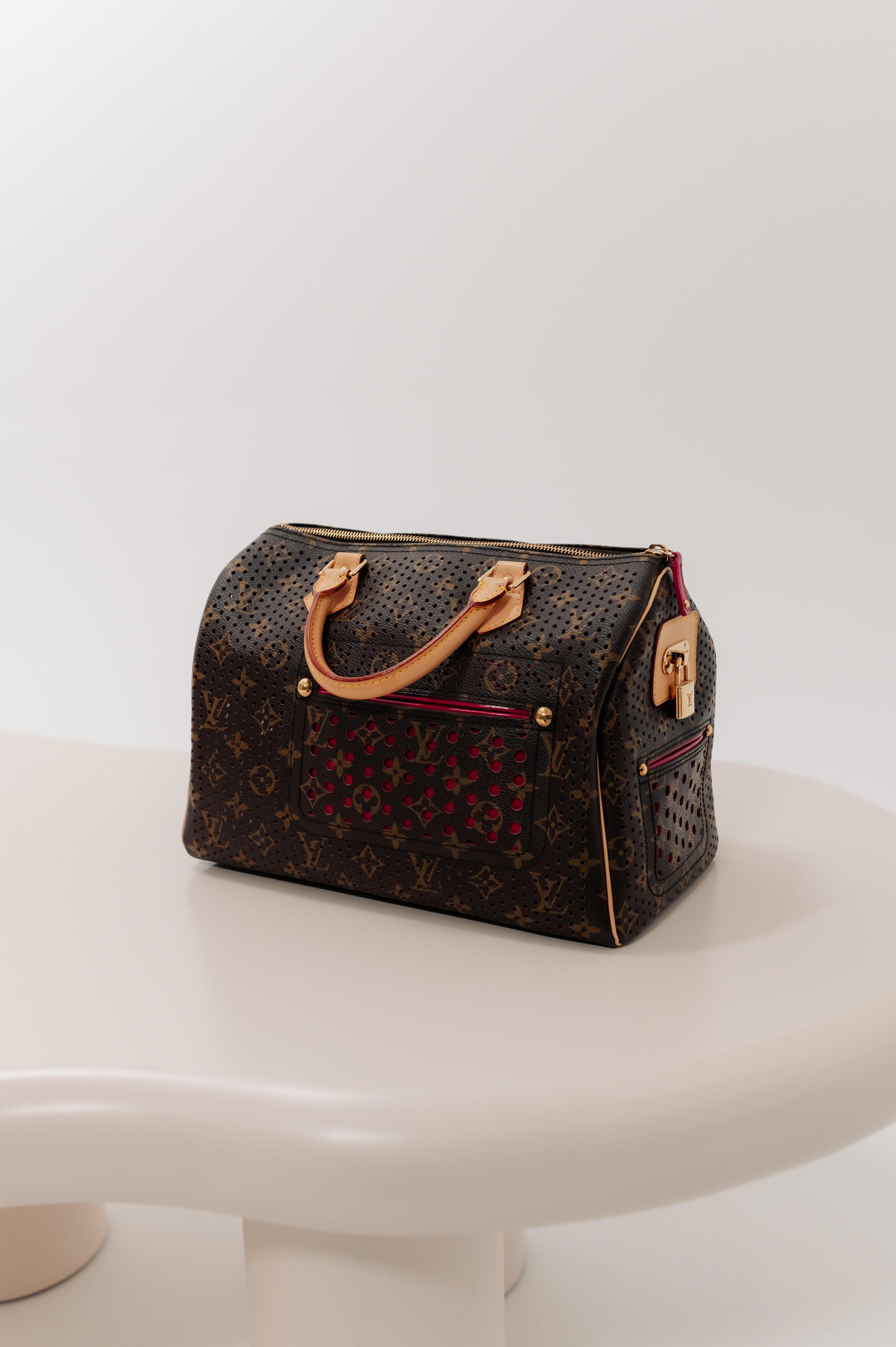 Louis Vuitton Brown Speedy Hand Bag