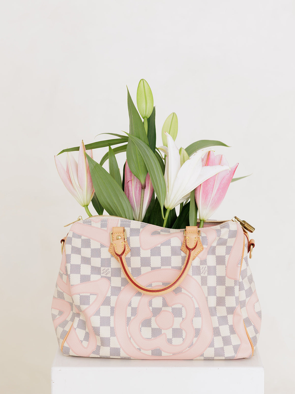 Louis Vuitton White Damier Speedy Hand Bag