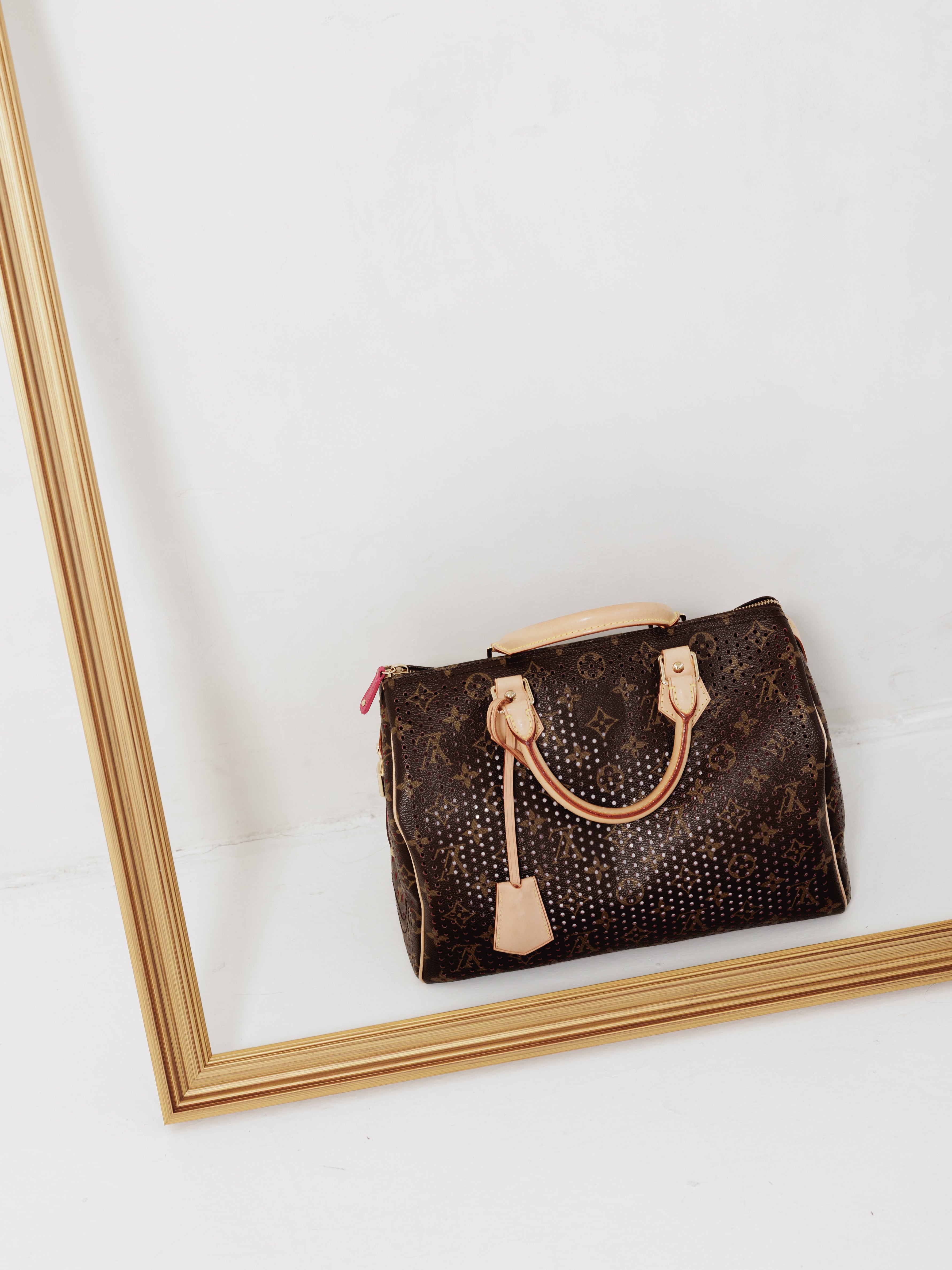 Louis Vuitton Brown Speedy Hand Bag