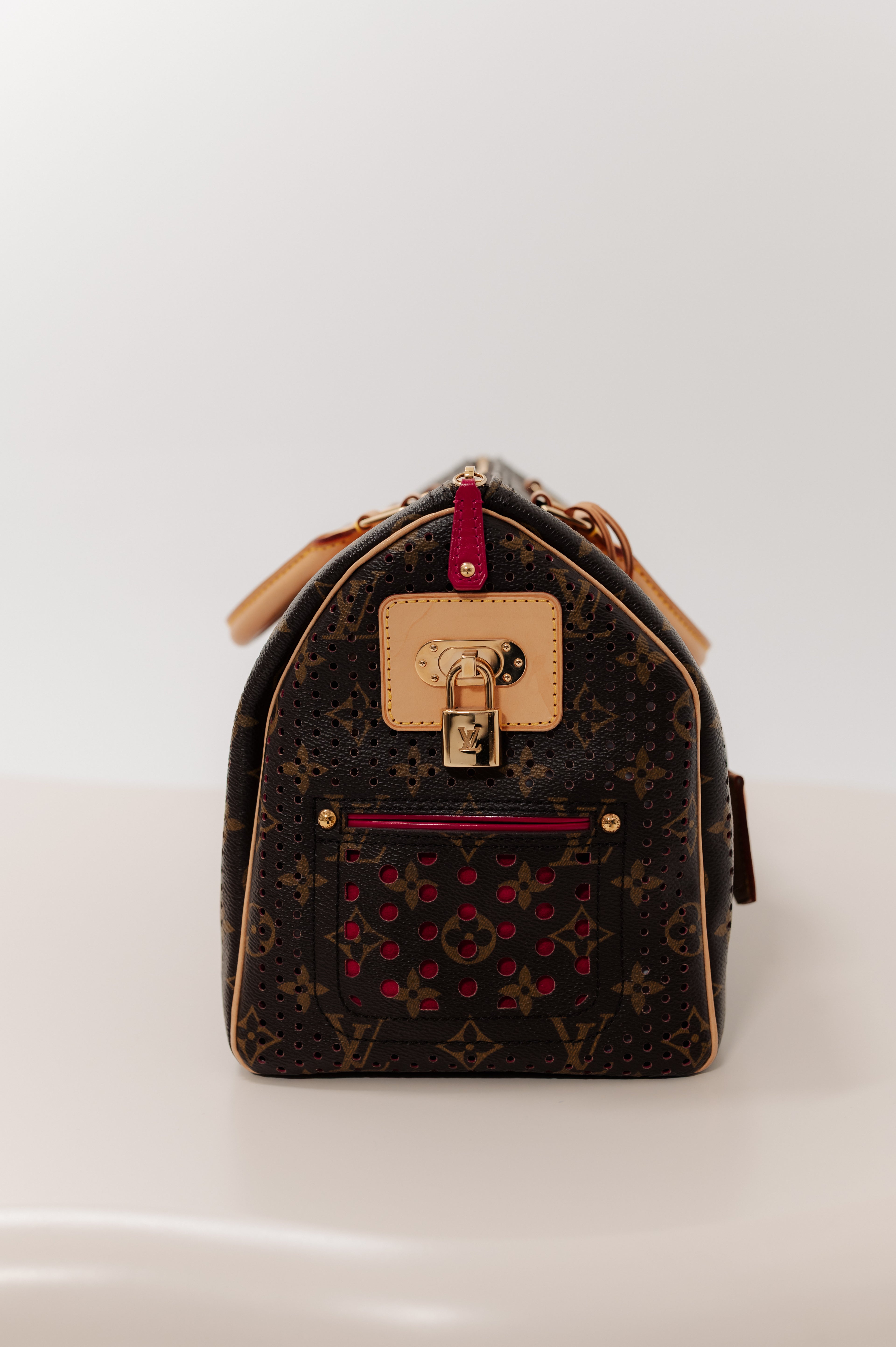 Louis Vuitton Brown Speedy Hand Bag