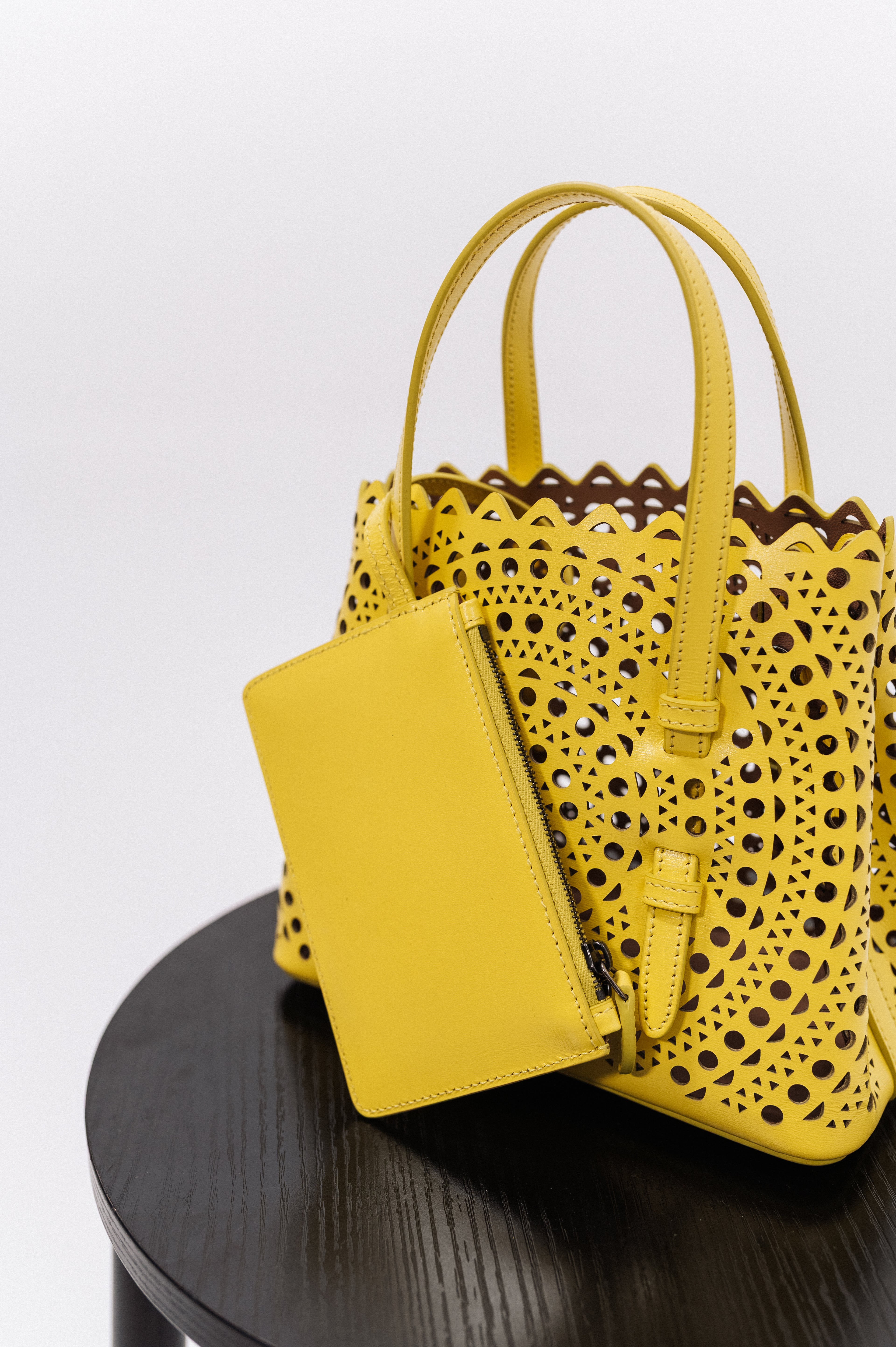 Alaïa Mina Mini Tote