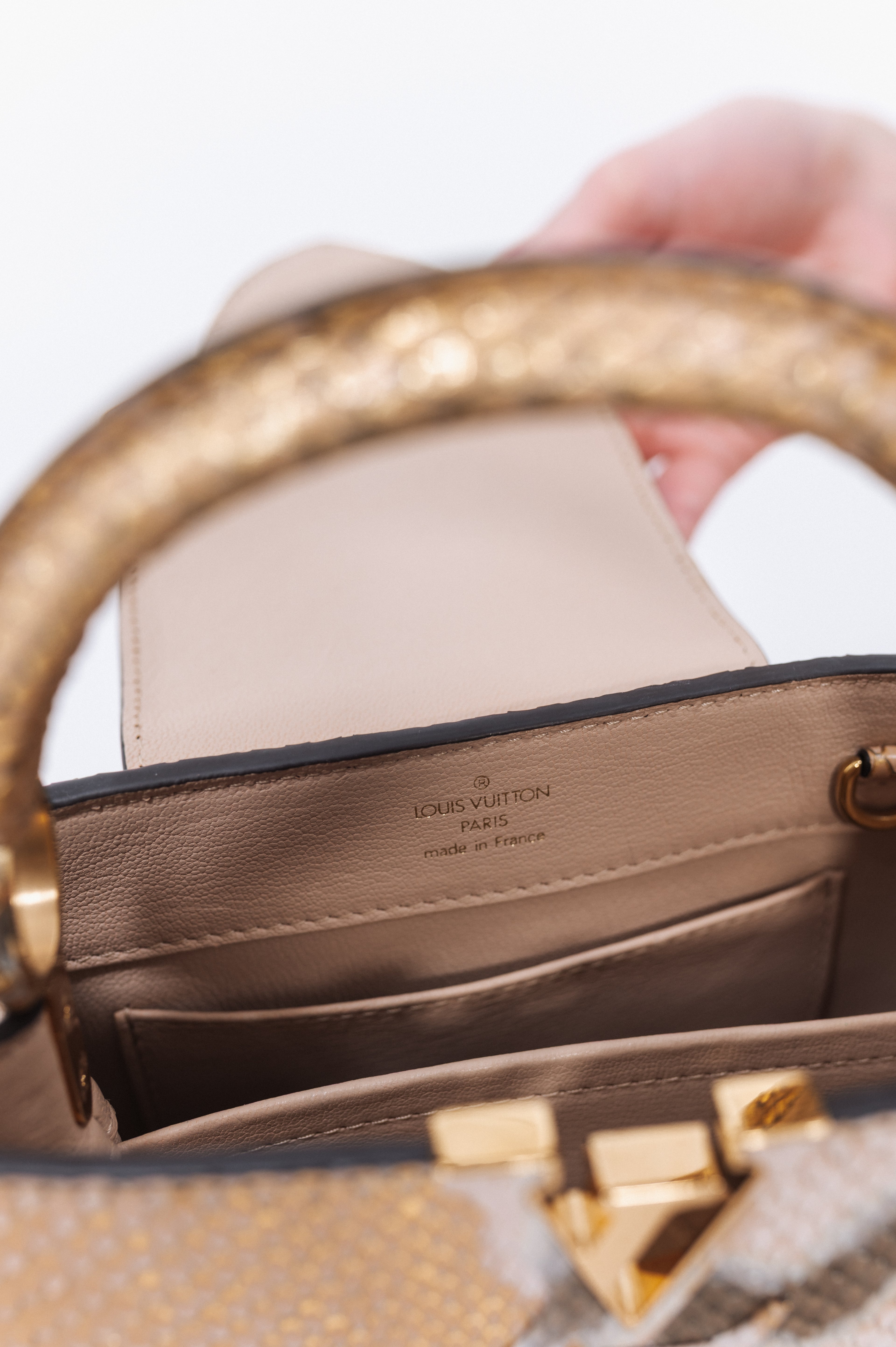 Louis Vuitton Mini Python Capucines