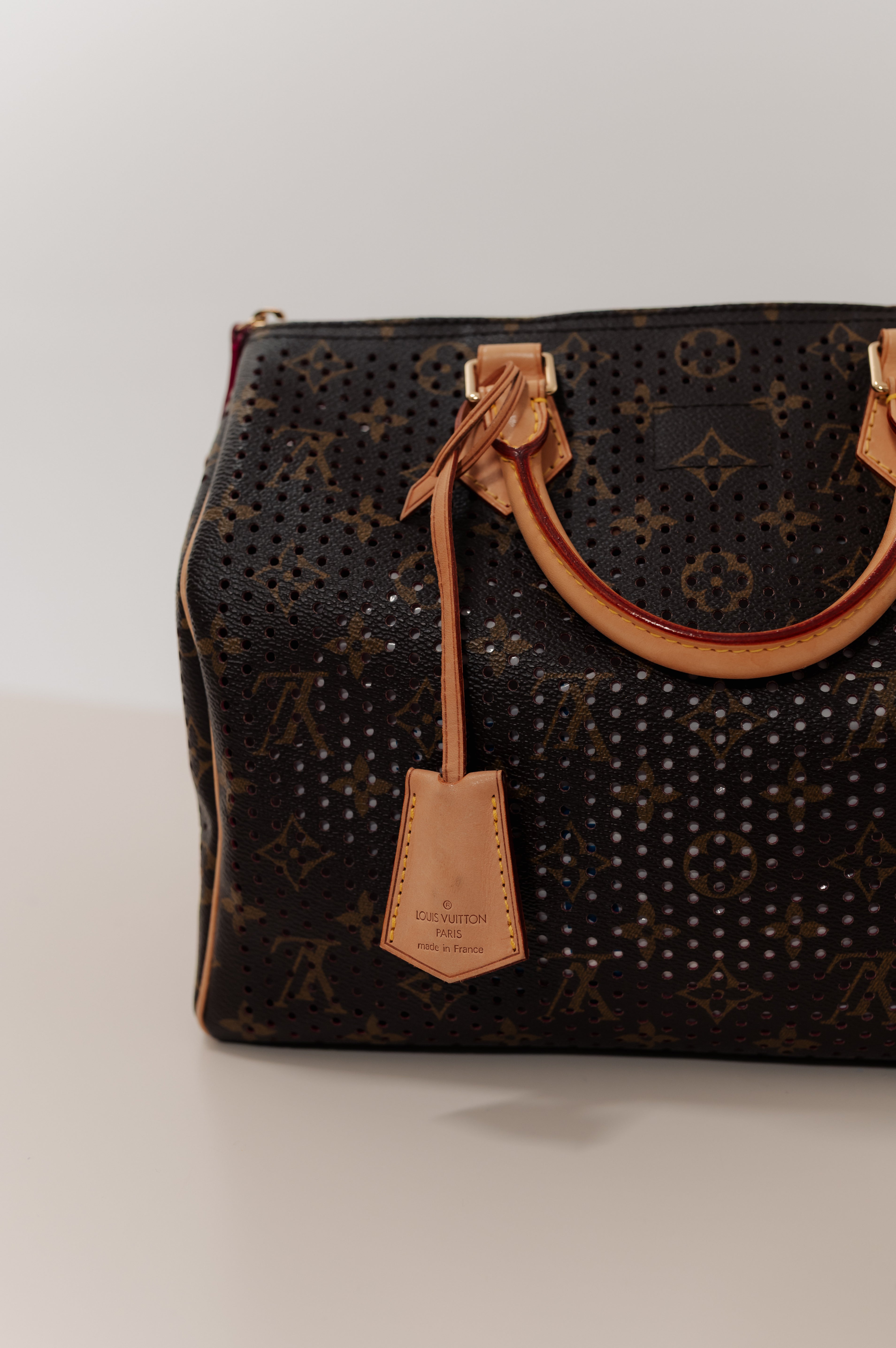 Louis Vuitton Brown Speedy Hand Bag