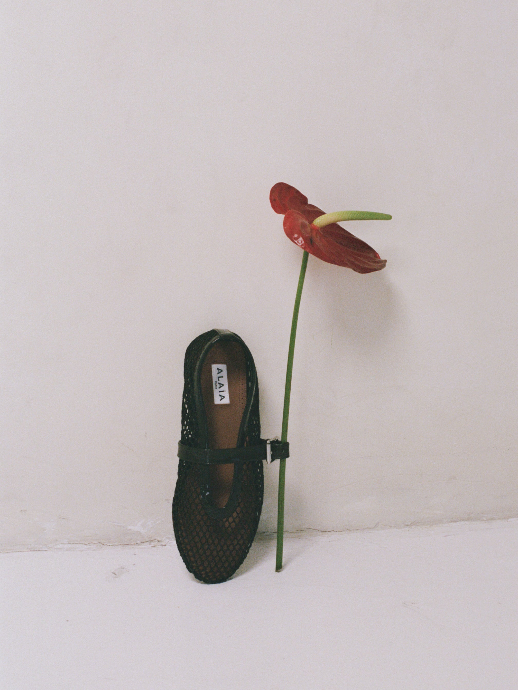 Alaia Brown Mesh Flats