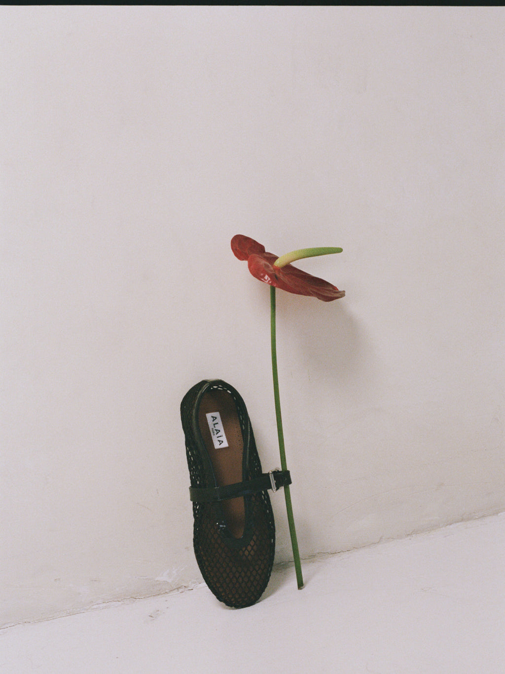 Alaia Brown Mesh Flats